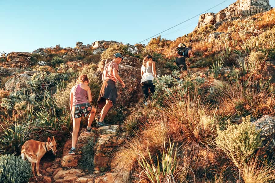 Cape Town: Table Mountain Hike via India Venster - The first climb and early views