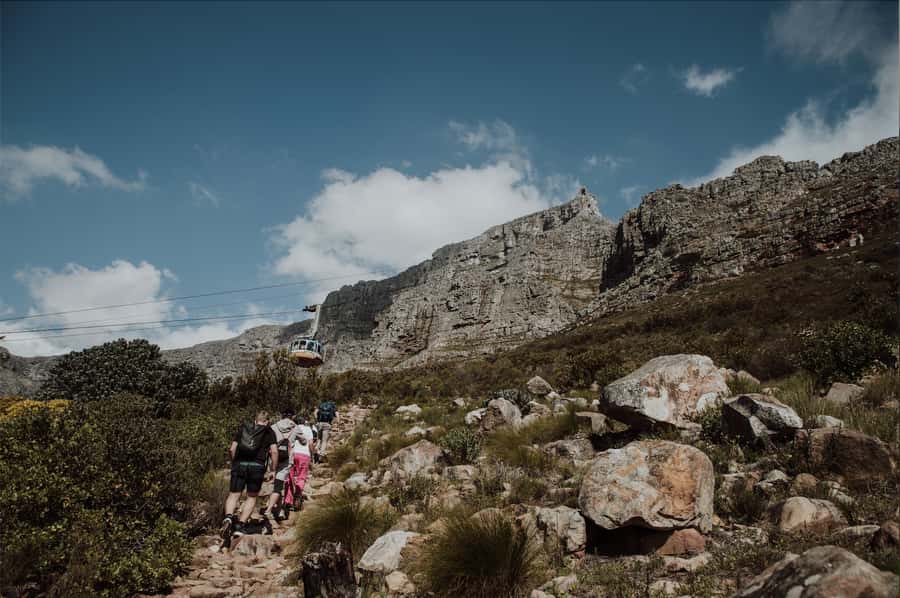 Cape Town: Table Mountain Hike with an Experienced Guide - Climbing through fynbos and mountain history
