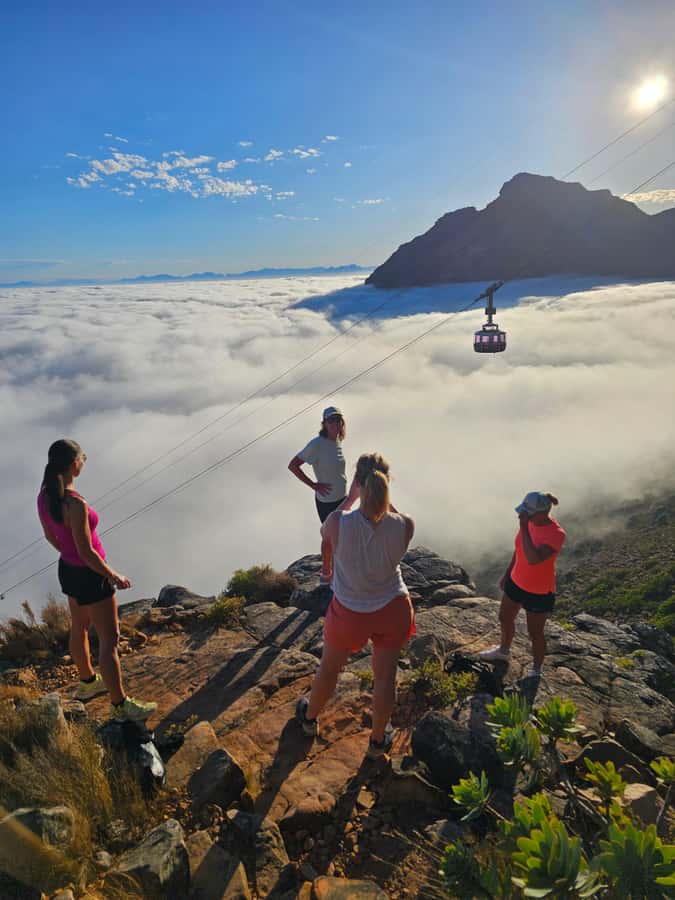 Cape Town: Table Mountain Hike with an Expert Guide - Fynbos, rock hyraxes, and the Cape Floral Kingdom