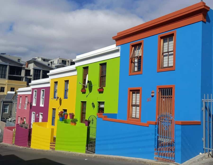 Cape Town: Table Mountain, Kirstenbosch Botanic Garden Tour - Key points to know before booking
