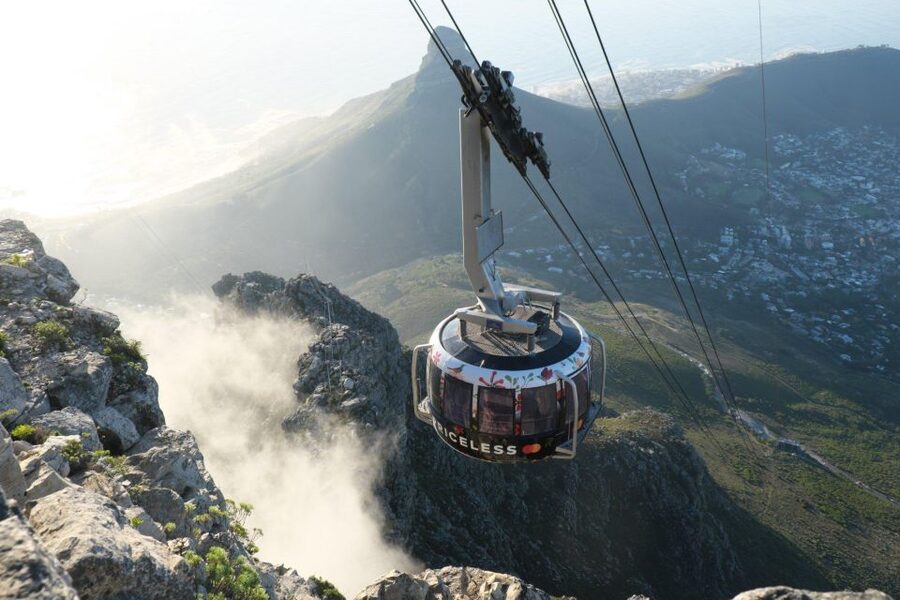 Cape Town: Table Mountain, Kirstenbosch Botanic Garden Tour - Is $80 good value?