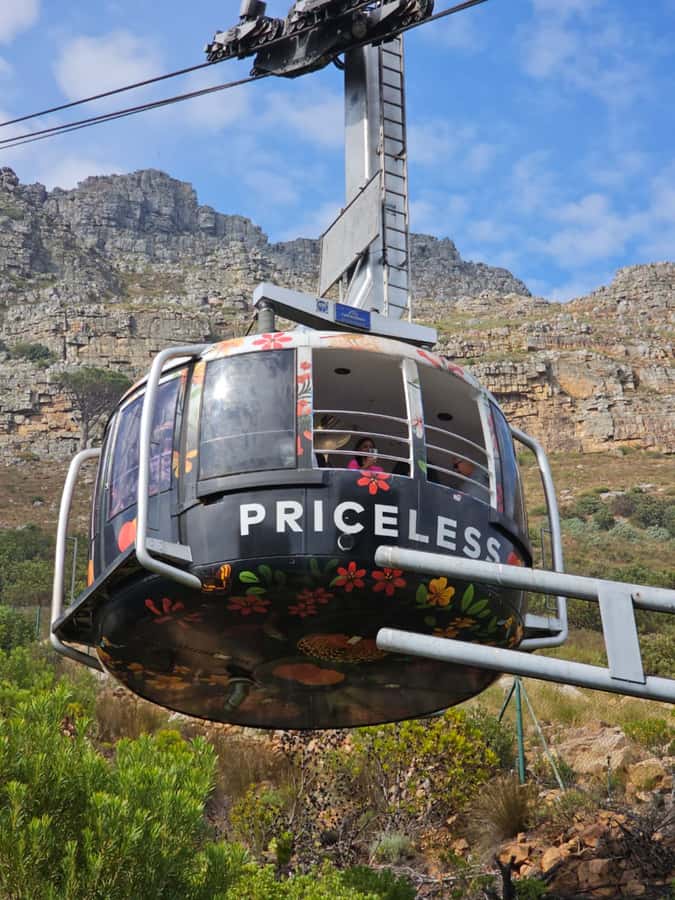 Cape Town Table Mountain Penguins & Cape Point All-inclusive - Key points to know before booking