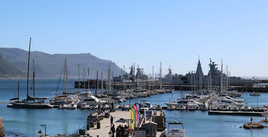 Cape Town: Table Mountain, Penguins & Cape Point Group Tour - Five things to know before you book