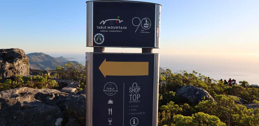 Cape Town: Table Mountain, Penguins & Cape Point Group Tour - Simons Town is the lunch pause