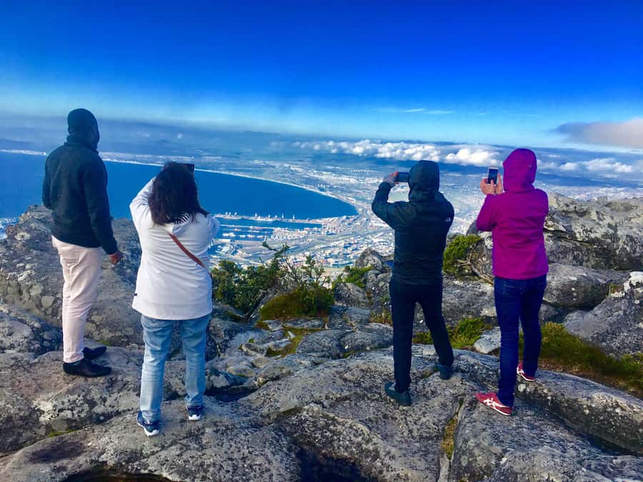 Cape Town: Table Mountain, Penguins & Cape Point Shared Tour - Table Mountain delivers the big view