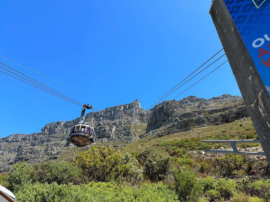 Cape Town: Table Mountain, Penguins & Cape Point Shared Tour - Boulders Beach is the wildlife highlight