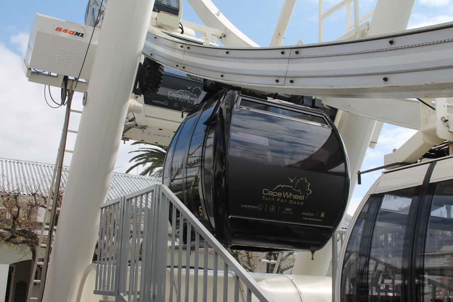 Cape Town: The Cape Wheel Ticket - What you see from 40 metres up
