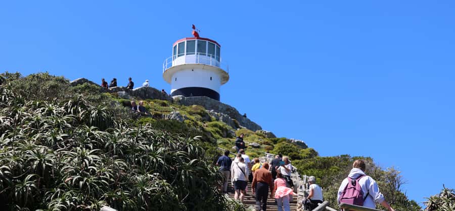 Cape Town: Tour Cape Point & Boulders Beach Penguin Day Trip - Key points to know before booking