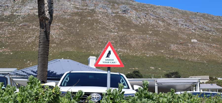 Cape Town: Tour Cape Point & Boulders Beach Penguin Day Trip - Cape of Good Hope: big scenery, extra admission