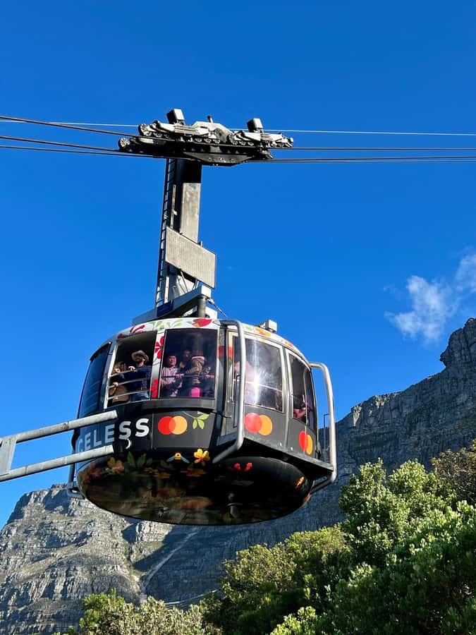 Cape Town Tour: Table Mountain, Penguins & Cape Point+Pickup - Table Mountain is the tour’s headline stop