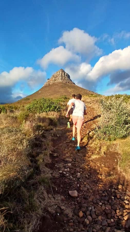 Cape Town: Trail Run Lion's Head and Signal Hill Morning - What the $73 price includes
