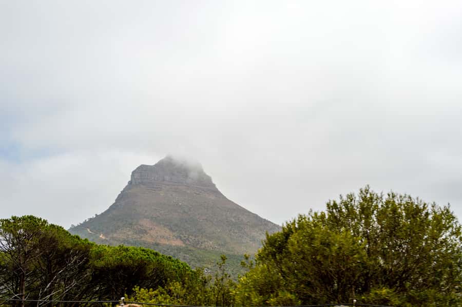 Cape Town Uncovered : Half-Day City Tour and Table Mountain - Key points at a glance