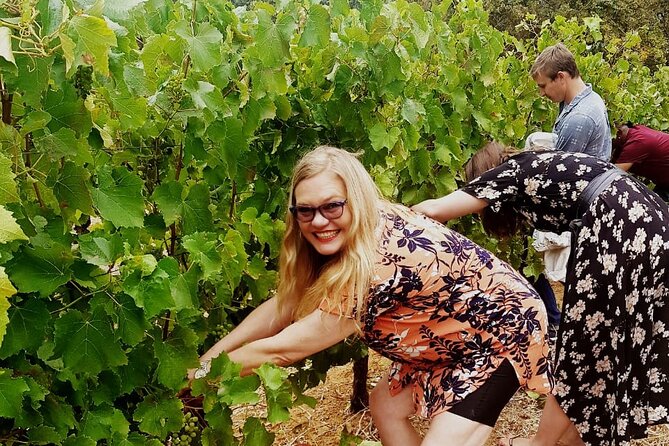 Cape town - Unique Private wine tour Blend & bottle own wine - Key points to know before booking