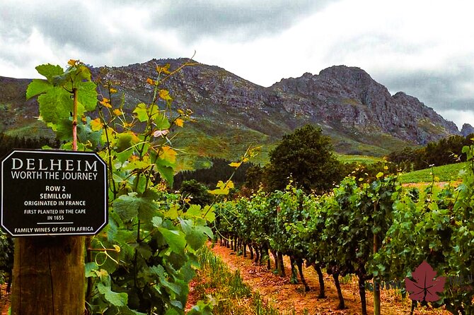 Cape town - Unique Private wine tour Blend & bottle own wine - Why this Cape Winelands day works