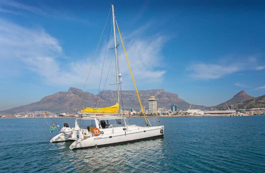 Cape Town: V&A Waterfront 1-Hour Scenic Cruise - The welcome drink and onboard bar