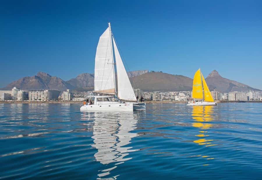 Cape Town: V&A Waterfront 1-Hour Scenic Cruise - Looking for seals, dolphins, and whales
