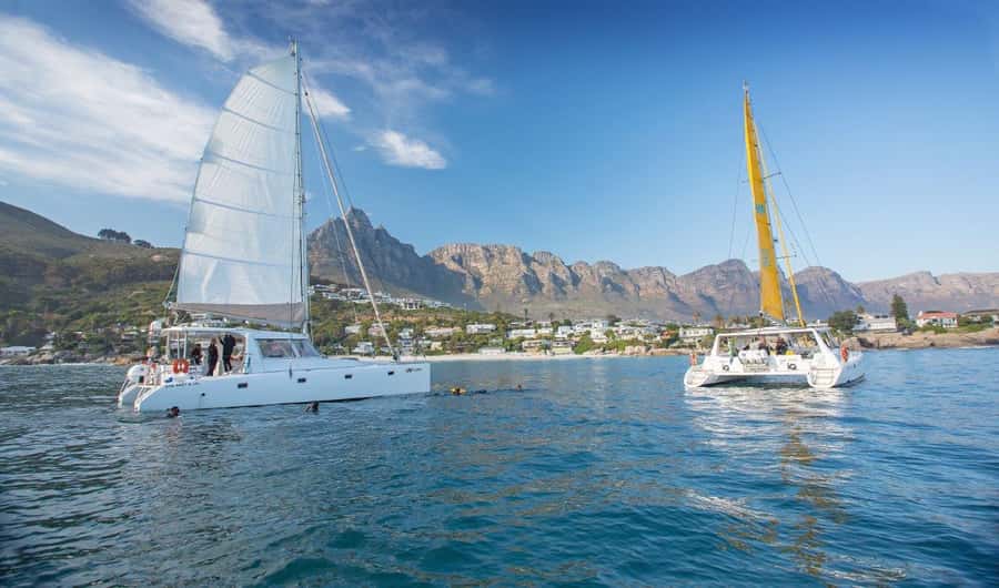 Cape Town: V&A Waterfront Gin Voyage Cruise - Key points to know before you book