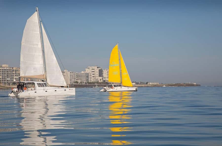 Cape Town: V&A Waterfront Gin Voyage Cruise - Practical planning at the V&A Waterfront