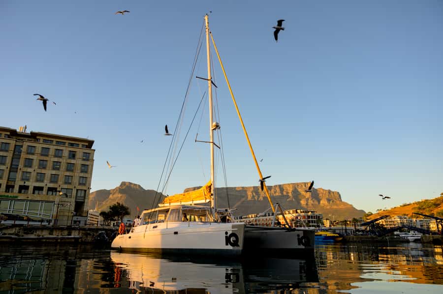 Cape Town: V&A Waterfront Gin Voyage Cruise - The first toast and the Cape Town skyline