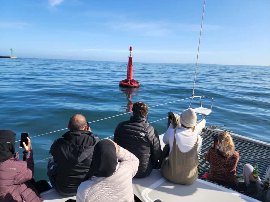 Cape Town: V&A Waterfront Gin Voyage Cruise - Who will enjoy the Gin Voyage most?