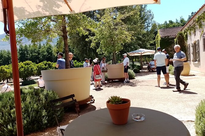 Cape Town Wine Tasting - Why this Cape Winelands route works