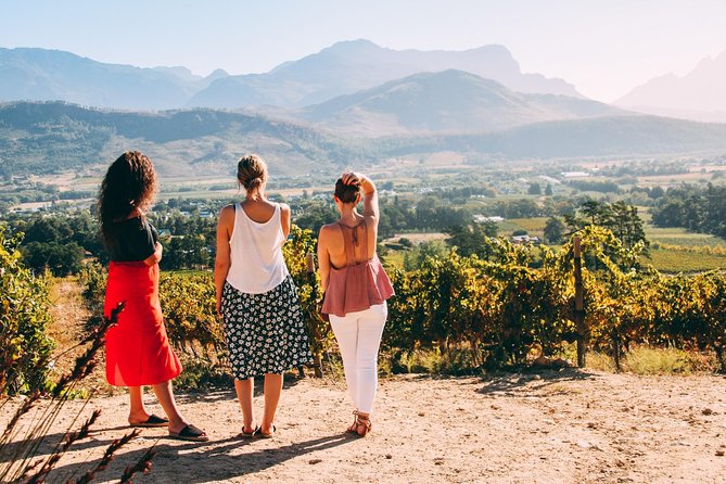 Cape Town Wine Tasting - Who should book this experience?