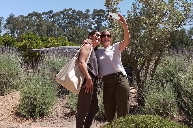 Cape Town Wine Tasting - Booking, timing, and cancellation advice
