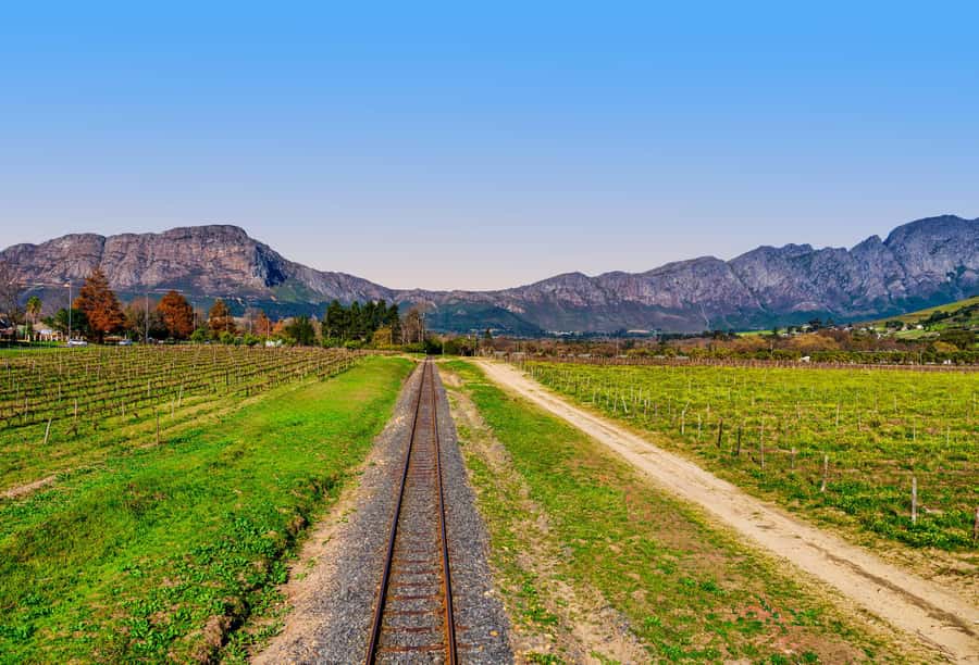 Cape Town: Wine Tram & Winelands Tour with Tastings & Pickup - Four estates, with some variation in the day