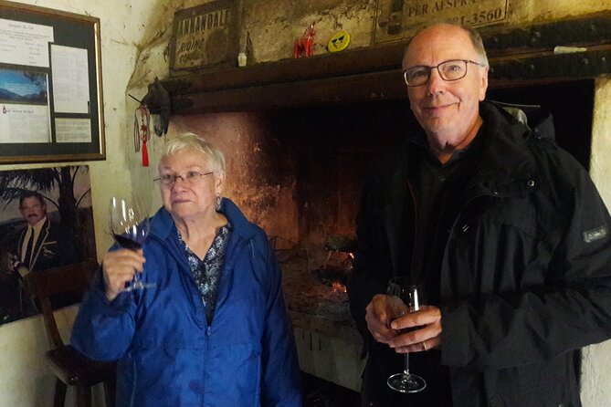 Cape Town: Winelands Private Half Day Tour - Who will enjoy this half-day tour