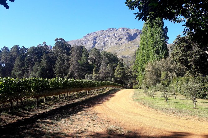 Cape Town Winelands Stellenbosch Private Afternoon Tour - Private transport and the value for two