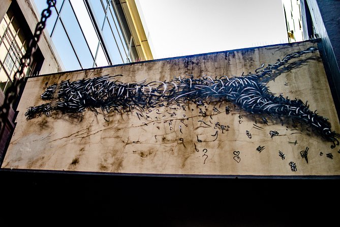 Cape Town Woodstock Street Art Walking Tour - Safety, access, and getting back to the city