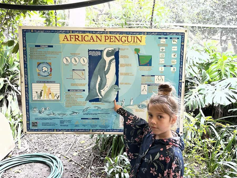 Cape Town: World of Birds & Animal Sanctuary - Who will enjoy this animal sanctuary most