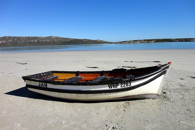 Cape West Coast Full Day Private Day Tour - Farmland, wheat, canola, and optional detours
