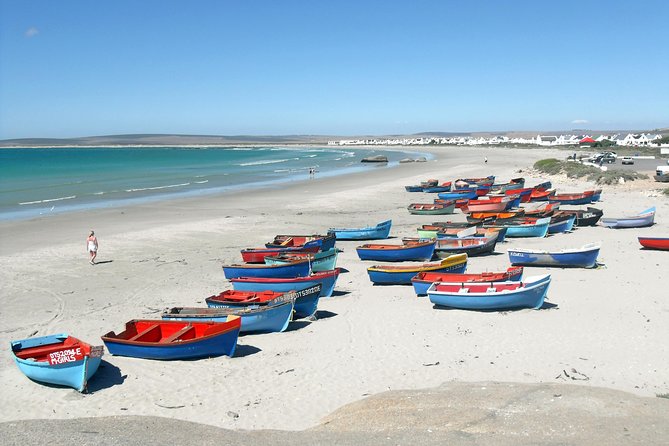 Cape West Coast Full Day Private Day Tour - Meeting San culture at !Khwa ttu