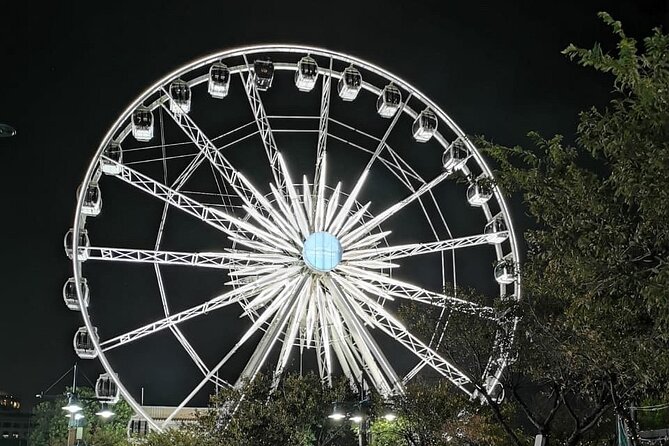 Cape Wheel Admission Ticket - The V&A Waterfront is both a benefit and a drawback