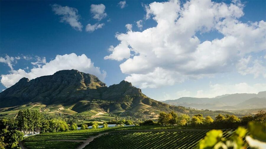 Cape Wineland 3 Award Winning Vineyards - Three wine regions in one Cape Town day