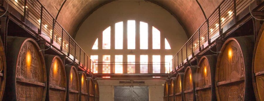 Cape Wineland 3 Award Winning Vineyards - Who will enjoy this tour most