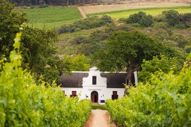 Cape Winelands and Wine Tasting Full Day Tour - Why this Cape Winelands day works well