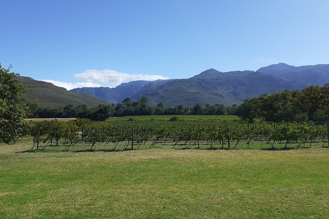 Cape Winelands and Wine Tasting Full Day Tour - Starting from Cape Town at 9:00 a.m.