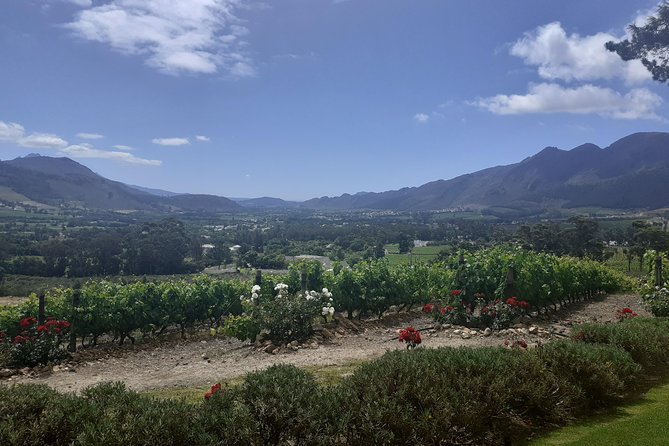 Cape Winelands and Wine Tasting Full Day Tour - Franschhoek town: food, French roots, and a short walk