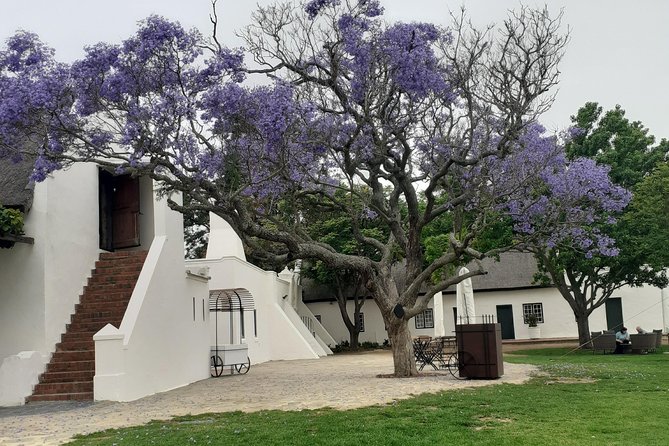 Cape Winelands and Wine Tasting Full Day Tour - Stellenbosch town: 45 minutes among old oak-lined streets