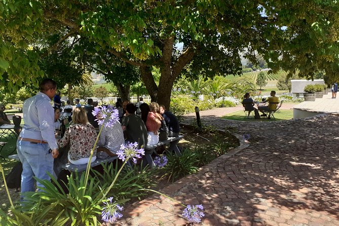 Cape Winelands and Wine Tasting Full Day Tour - Fairview Wine and Cheese: the best food pairing stop