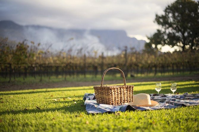 Cape Winelands Explore Full Day Tour with Private Transfer - What the $241.56 price really buys