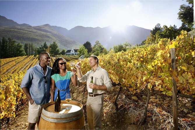 Cape Winelands Private Tour to Stellenbosch and Franschhoek - Marianne Wine Estate and the biltong pairing