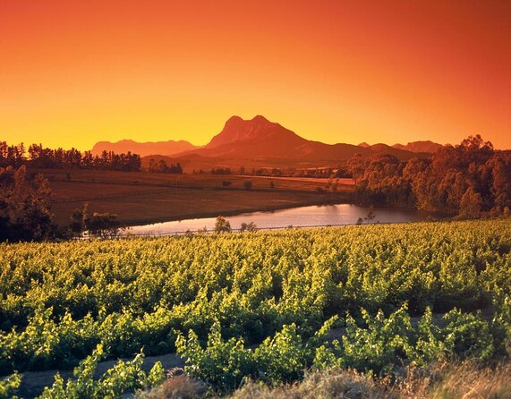 Cape Winelands Stellenbosch Franschhoek Paarl Tour from Cape Town - Why this route works well from Cape Town