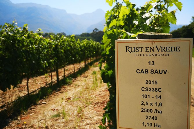 Cape Winelands Stellenbosch Franschhoek Paarl Tour from Cape Town - Paarl and the Afrikaans Language Monument