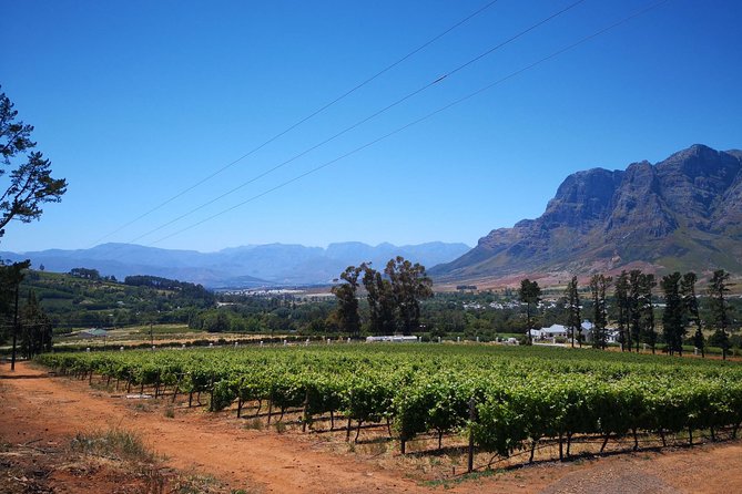 Cape Winelands Stellenbosch Franschhoek Paarl Tour from Cape Town - Who should book this tour?