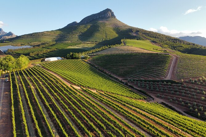 Cape Winelands Tour - Key Points to Know