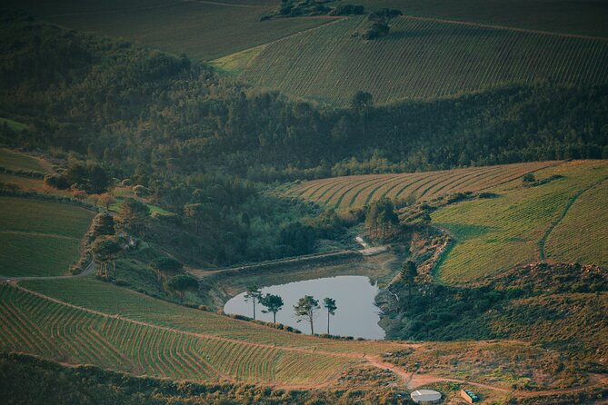 Cape Winelands Tour - Haute Cabriere: Chardonnay, Pinot Noir, and Sparkling Wine