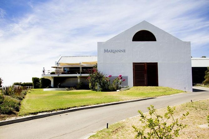 Cape Winelands Wine Tour (Cape To Grape Wine Tours) - Five details that shape the day